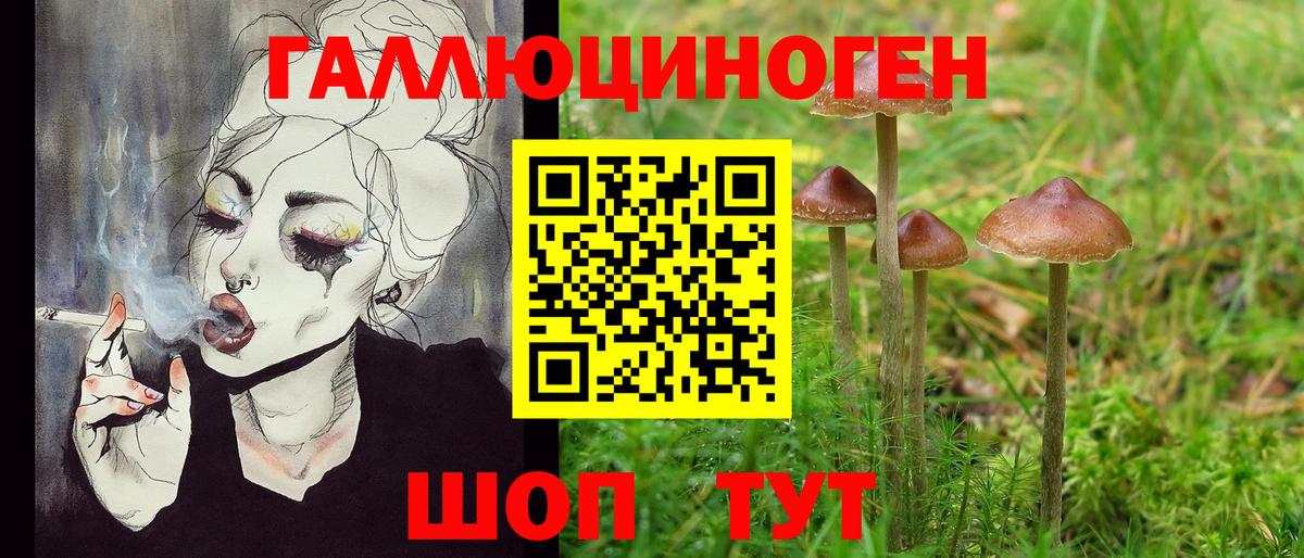 Галлюциногенные грибы ЛСД  Псилоцибиновые грибы MAGIC MUSHROOMS  Шелехов  Вход с VPN 
