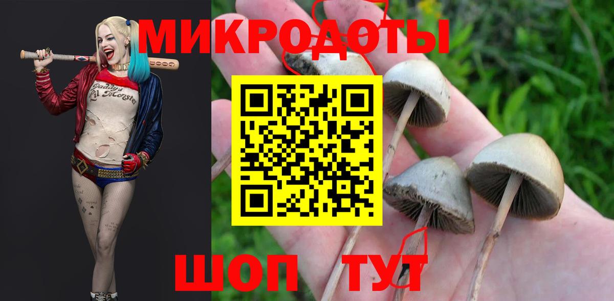 Галлюциногенные грибы прущие грибы Шелехов